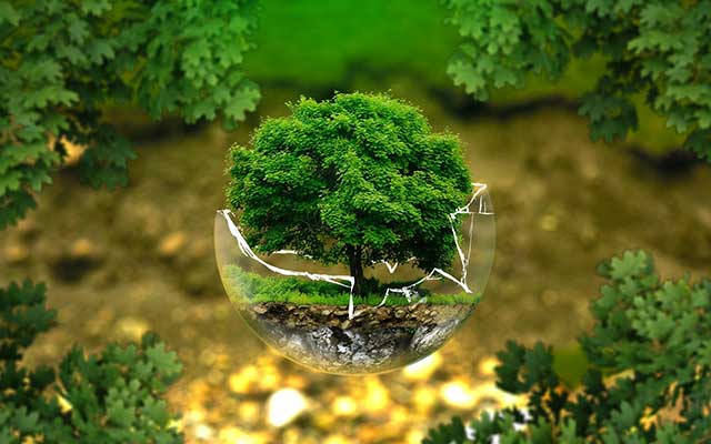 Environmental Protection