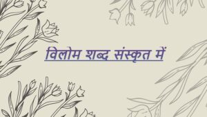 Vilom Shabd In Sanskrit - संस्कृत विलोम शब्द