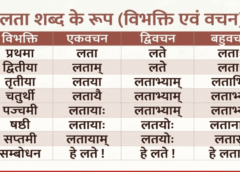 लता शब्द रूप (Lata Shabd Roop in Sanskrit): विभक्तियाँ और अर्थ