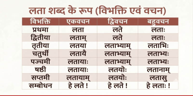 लता शब्द रूप (Lata Shabd Roop in Sanskrit): विभक्तियाँ और अर्थ