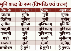 मुनि शब्द रूप (Muni Shabd Roop): संस्कृत में मुनि के शब्द रूप
